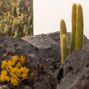 Casa Alice , Playa Blanca (Lanzarote) Spain